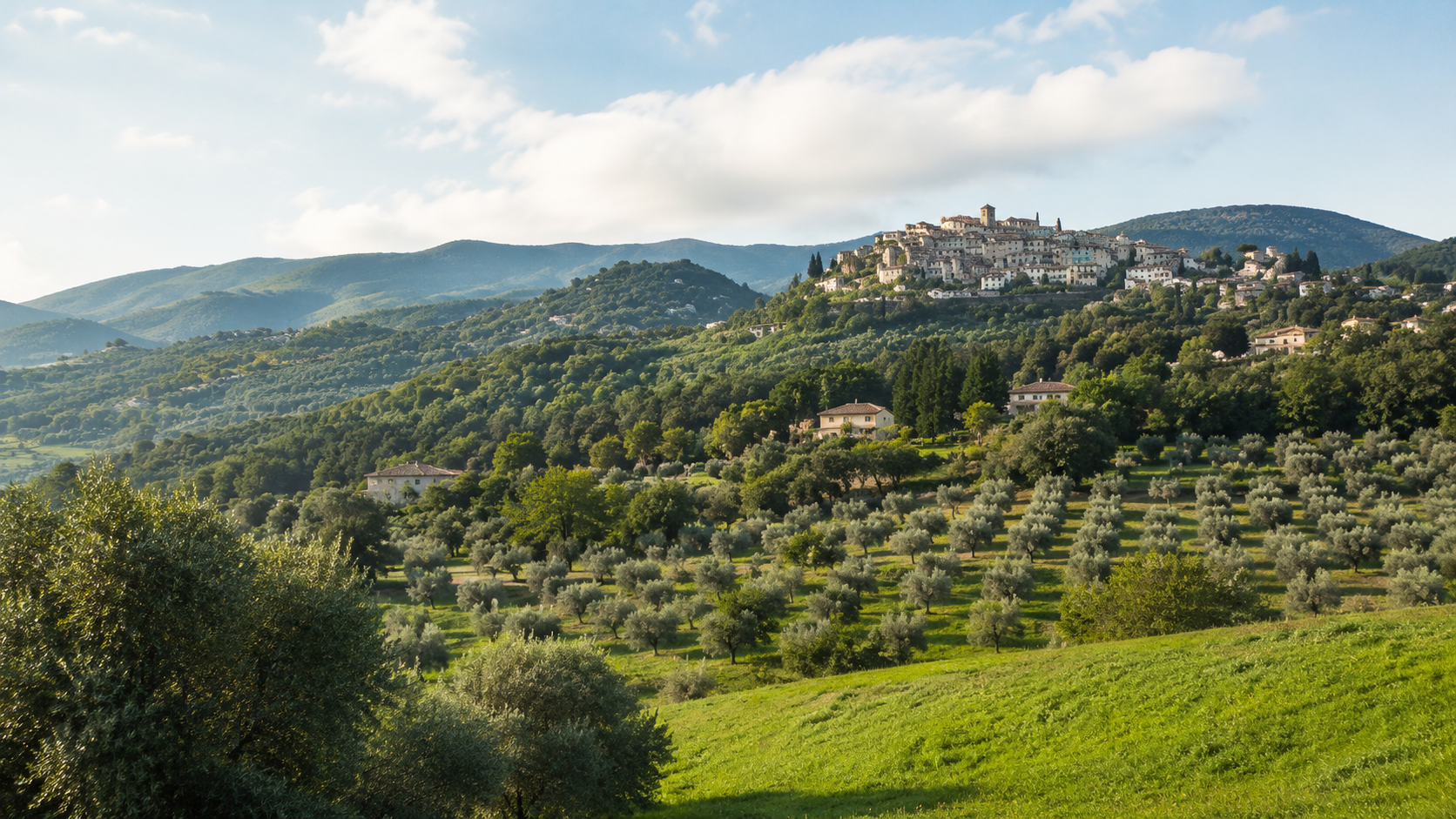 Ever Green Sabina: olio, uliveti e sapori di Casperia